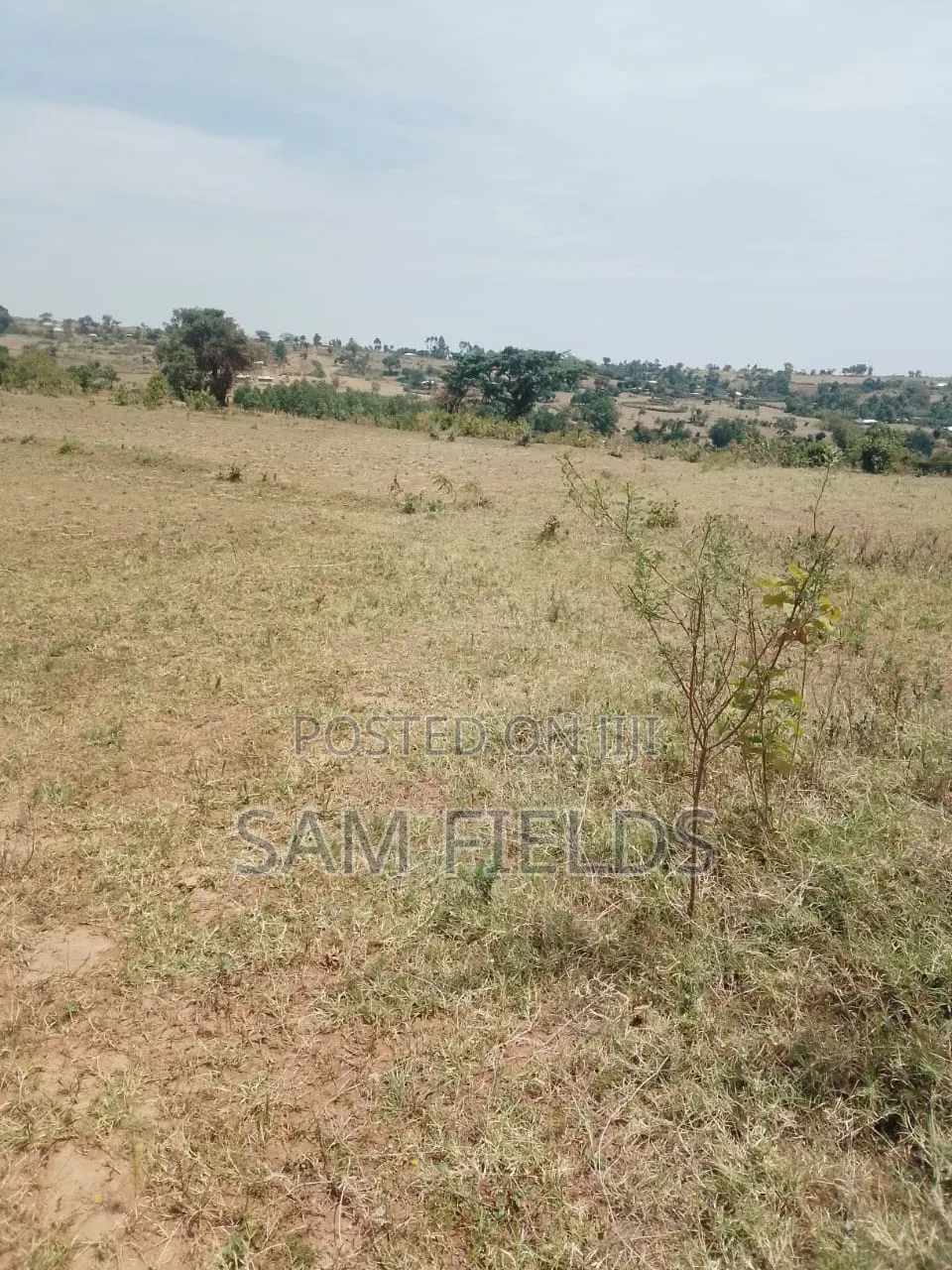 20 Acres on Sale