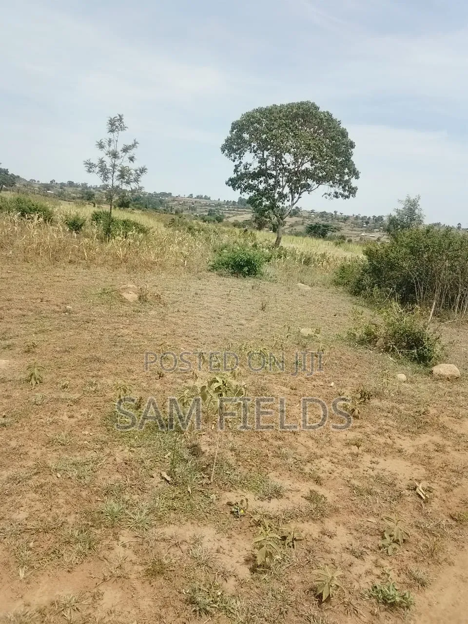 20 Acres on Sale
