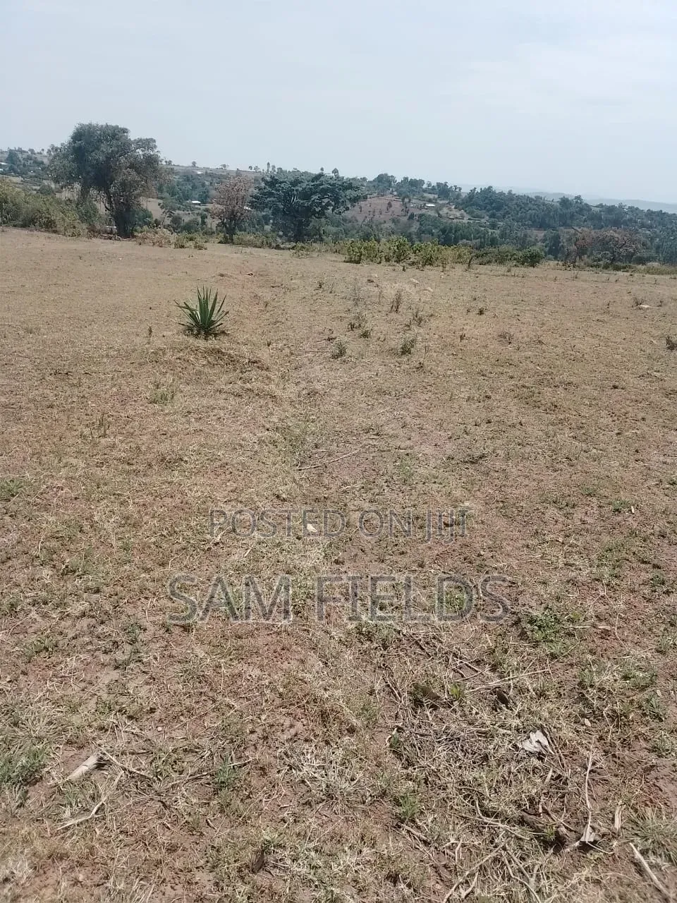20 Acres on Sale