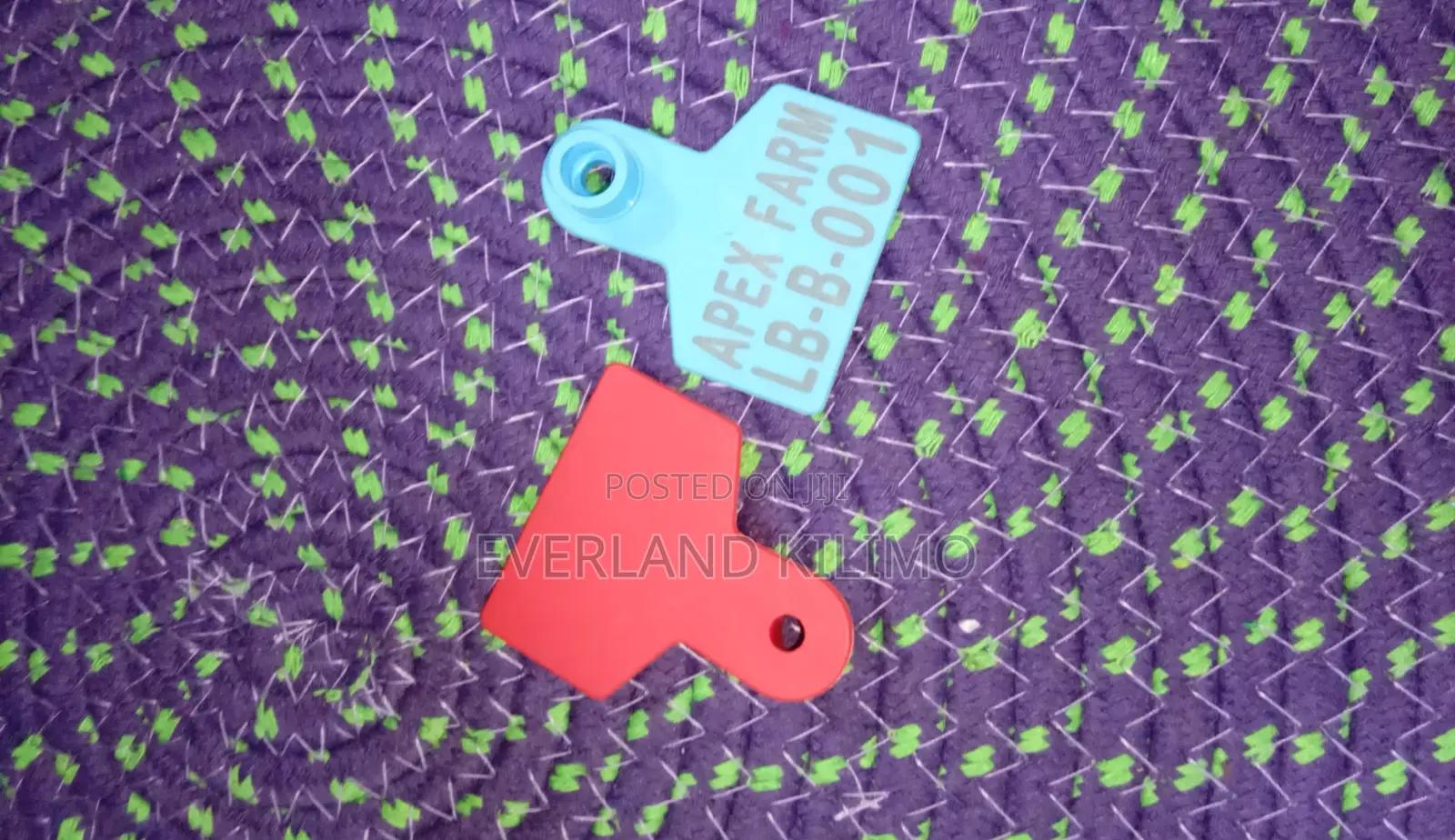 Customized Ear Tags for Sheep/Goats