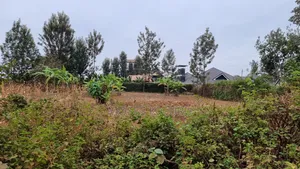 Kenol Prime 40x80 Plot