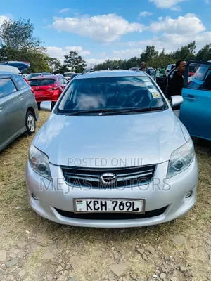 Toyota Corolla Fielder 2010 Silver