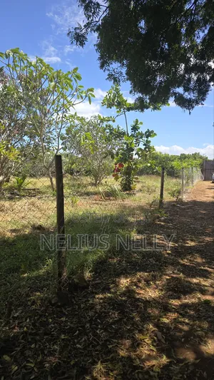 2nd Row Beach Property Kilifi Bofa 1acre Land