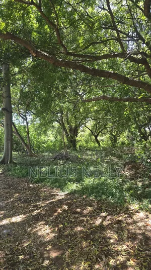 2nd Row Beach Property Kilifi Bofa 1acre Land