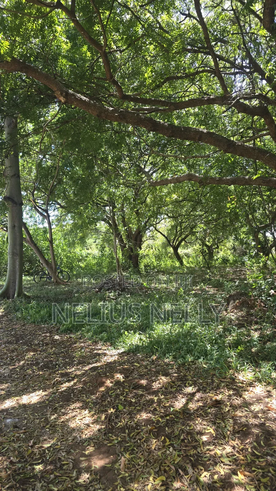 2nd Row Beach Property Kilifi Bofa 1acre Land