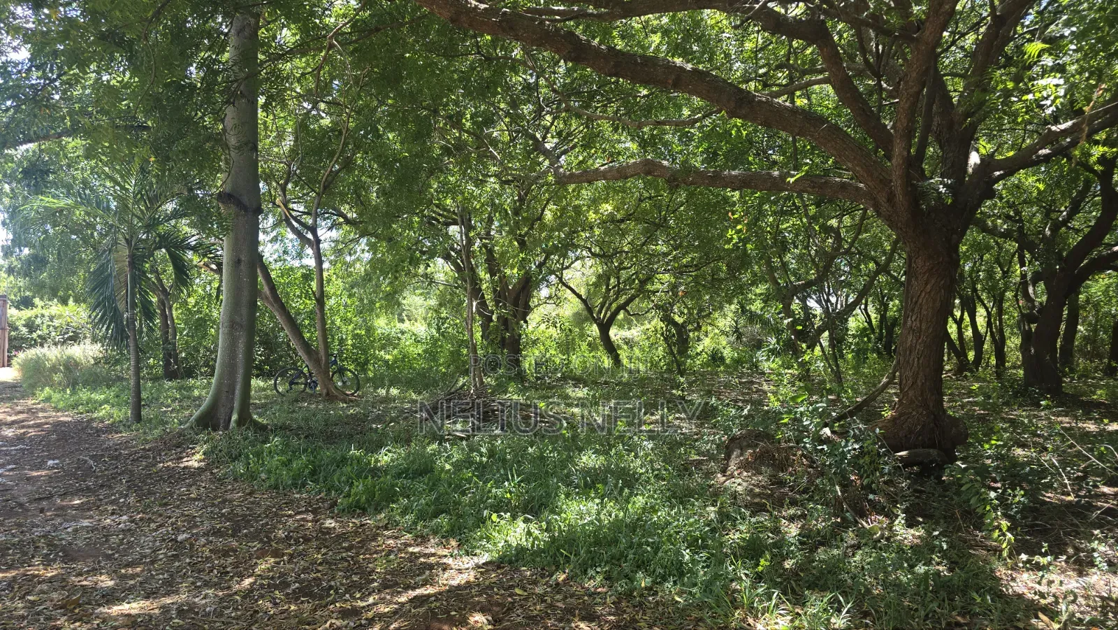 2nd Row Beach Property Kilifi Bofa 1acre Land