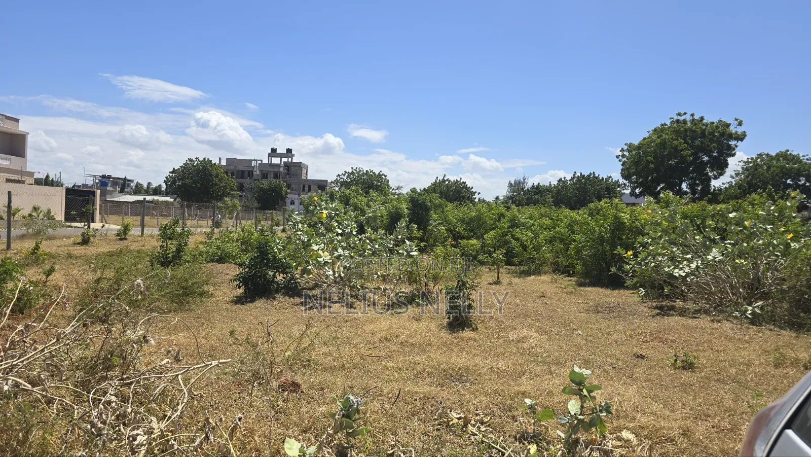 Bofa 1/2 Acre for Sale