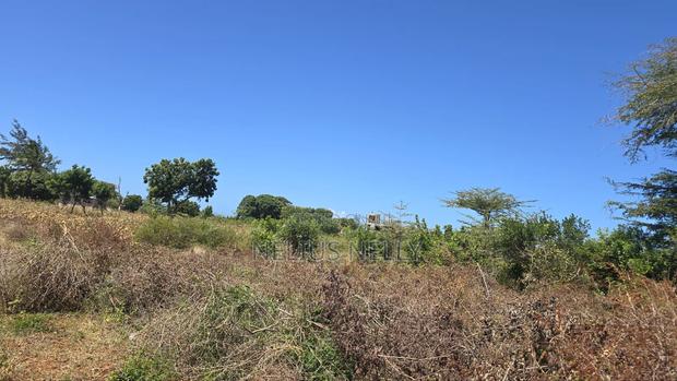 Bofa 1/2 Acre for Sale - thumbnail 5