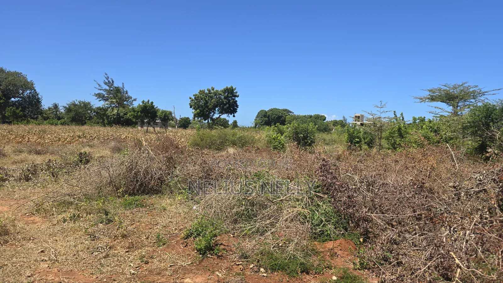 Bofa 1/2 Acre for Sale