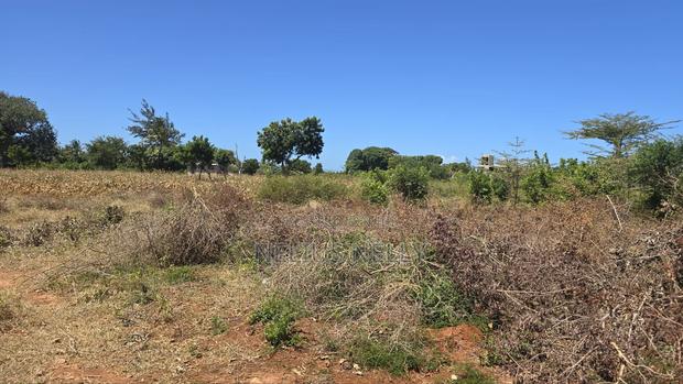 Bofa 1/2 Acre for Sale - thumbnail 7