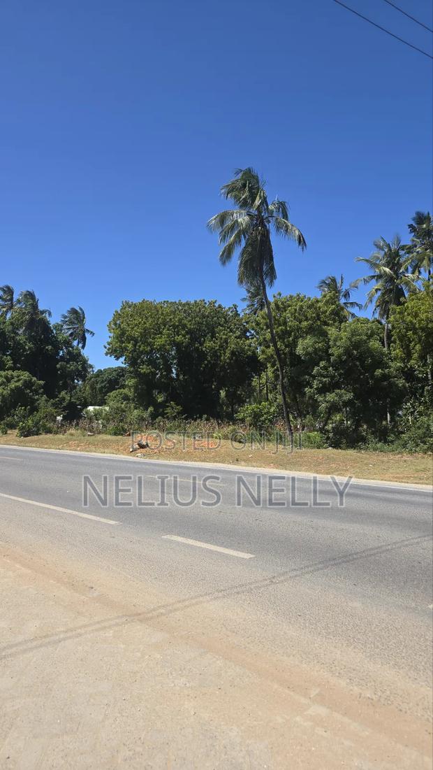 1/4 Acre Plot Touching Highway Kilifi Tezo - thumbnail 3