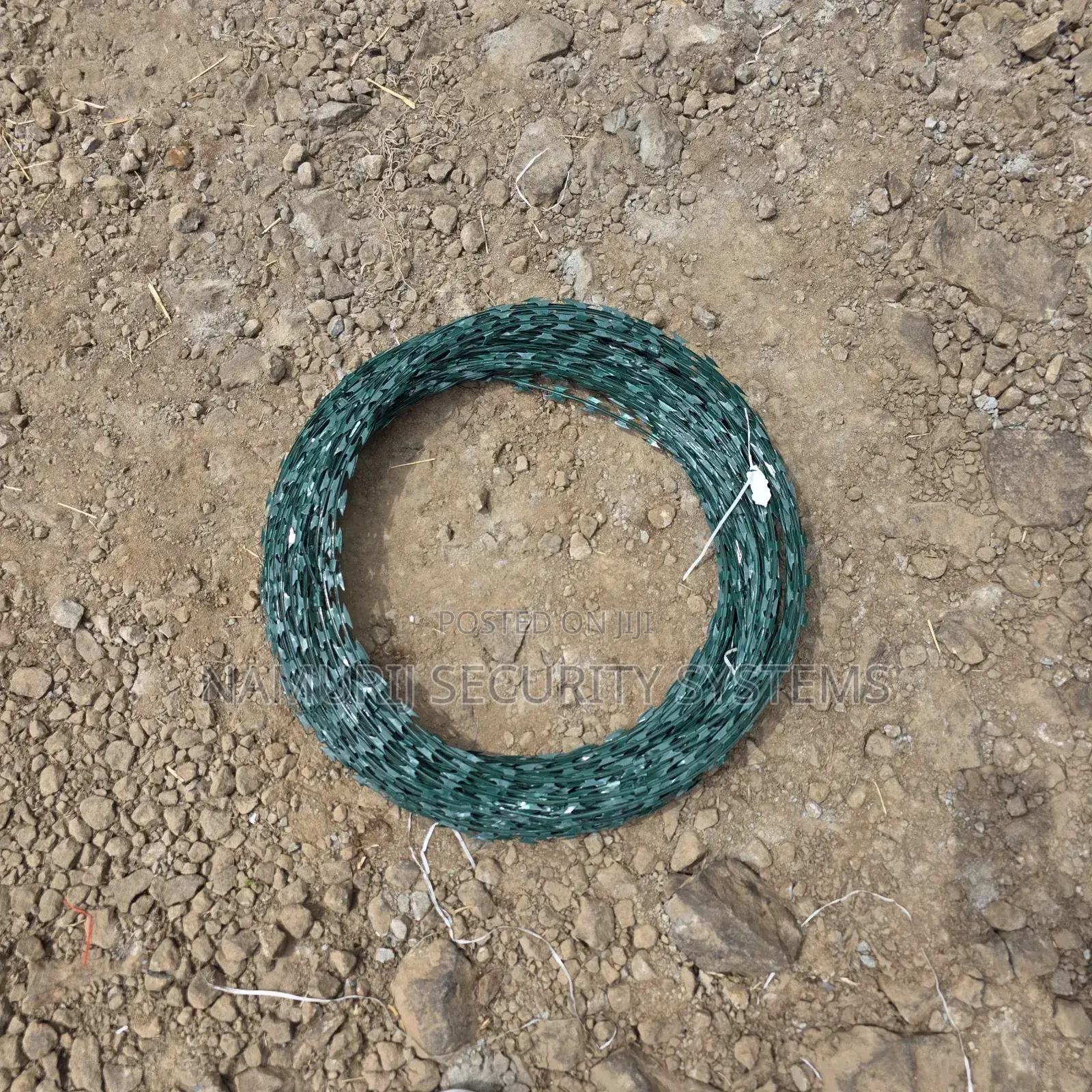 Green Razor Wire
