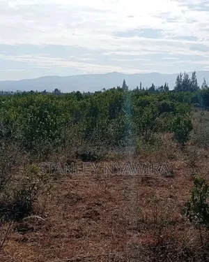 10 Acreas Nanyuki Mwireri