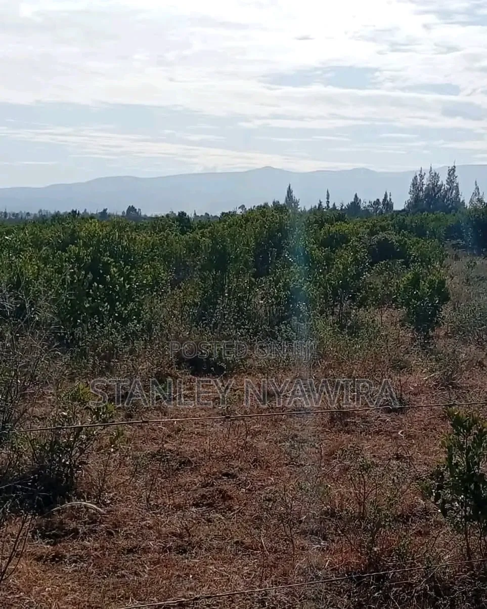10 Acreas Nanyuki Mwireri