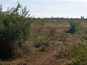 10 Acreas Nanyuki Mwireri