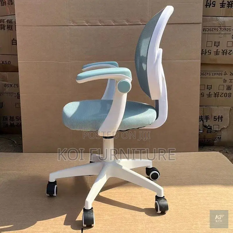Home Chairs; Home Study Recliner Chairs
