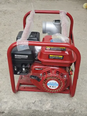 AICS ACP80 Water Pump