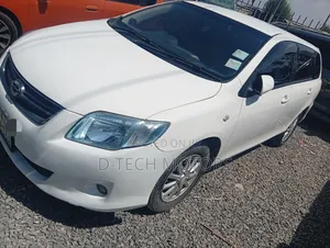 Toyota Corolla Fielder 2008 White