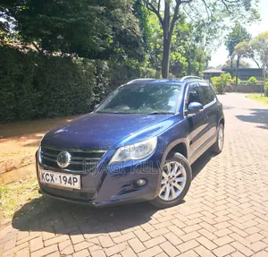 Volkswagen Tiguan 2011 Blue
