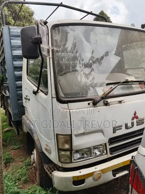 Fuso Fighter Local 2009