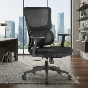 Office Chairs; Orthopedic Supportive Office Seat With Mid Backrest