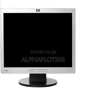 HP 19 Inch LCD Color Monitor