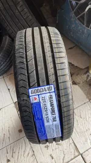 225/45r19 Goodard
