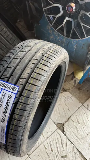 225/45r19 Goodard