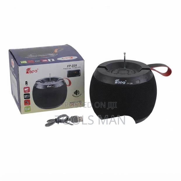 Rechargeable Wireless Bluetooth Speaker FP-228 Radio.USB,Aux