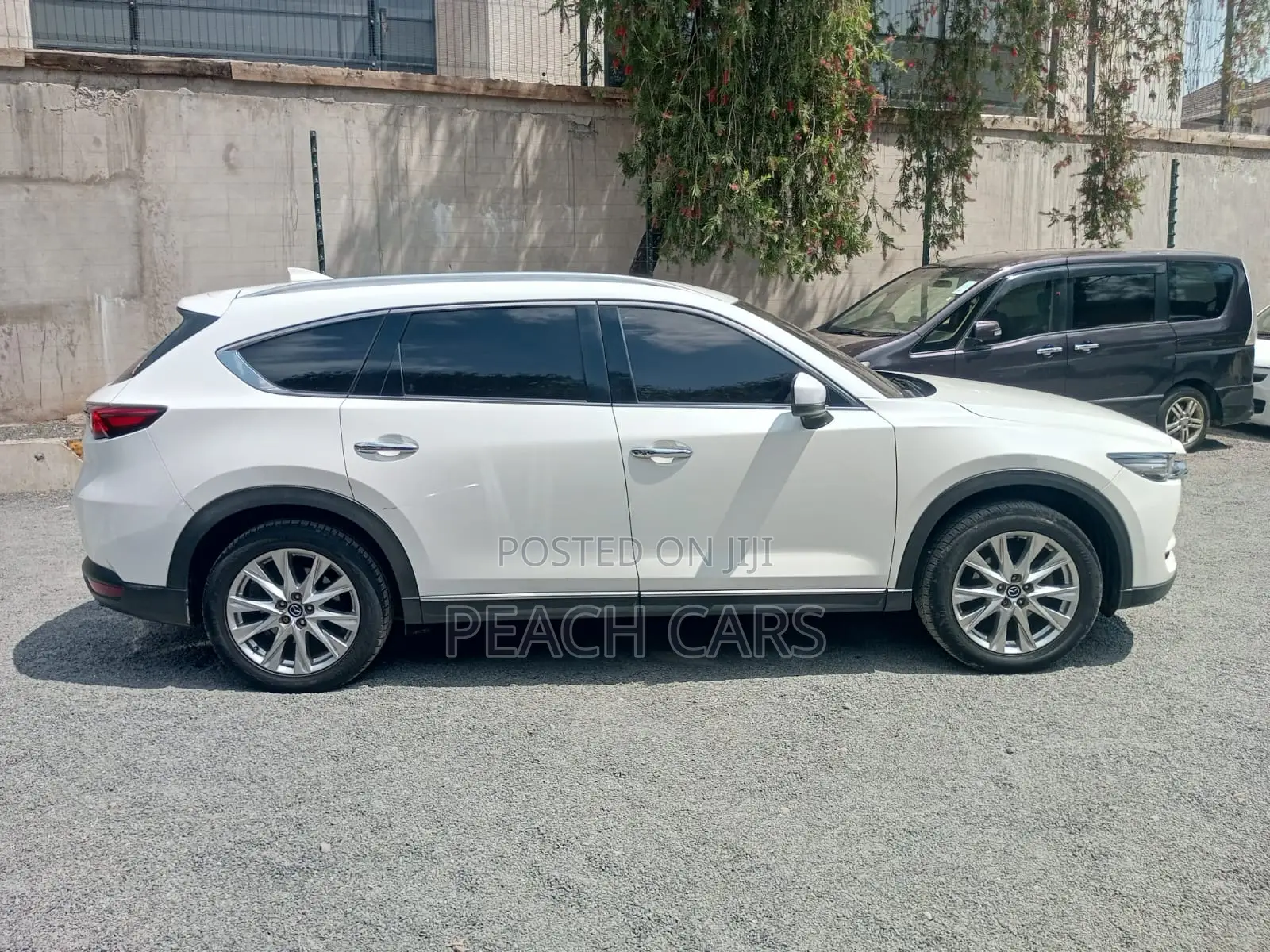 Mazda CX-8 2019 White