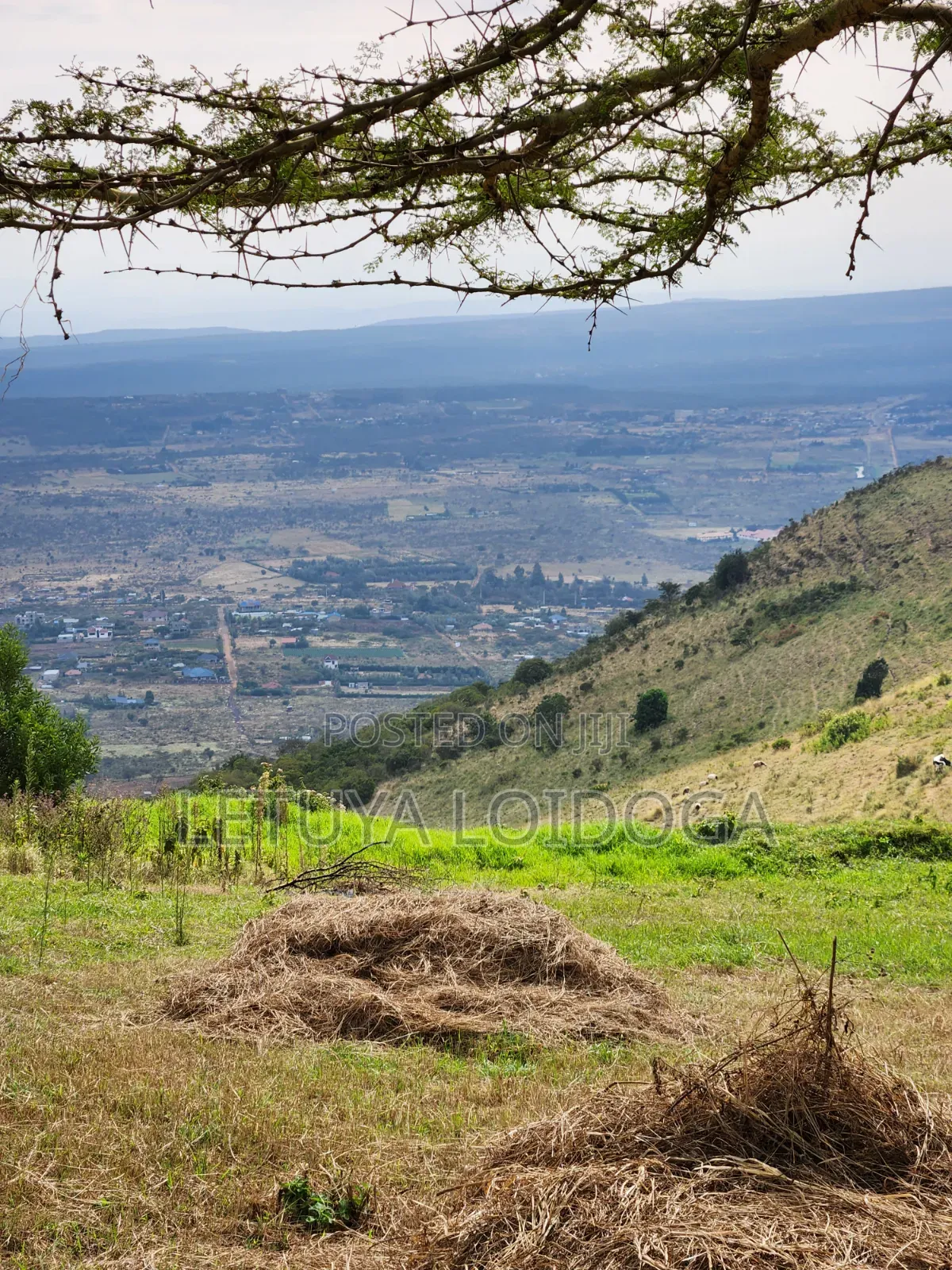 Prime Residential 1⁄4 Acre Ngong-Lemiso