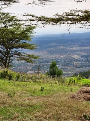 Prime Residential 1⁄4 Acre Ngong-Lemiso