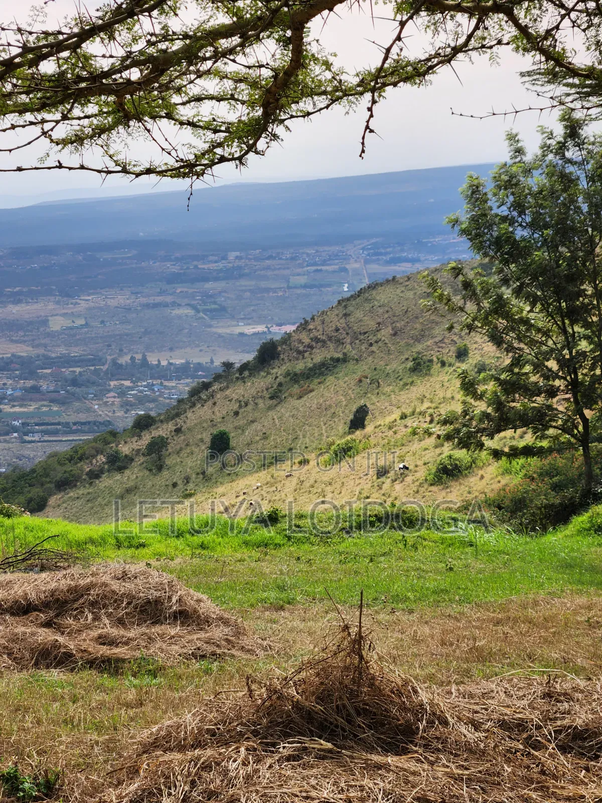 Prime Residential 1⁄4 Acre Ngong-Lemiso