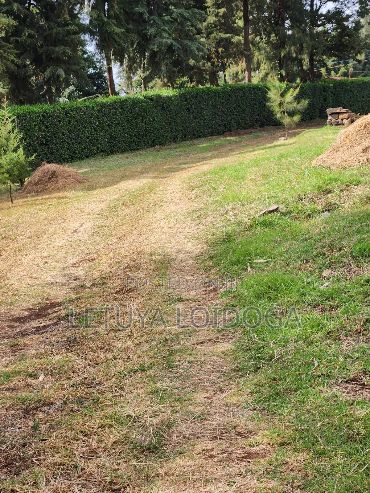 Prime Residential 1⁄4 Acre Ngong-Lemiso