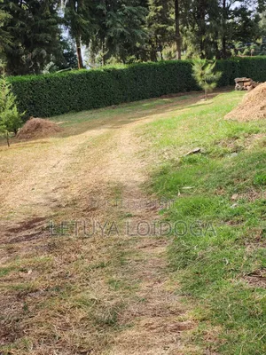 Prime Residential 1⁄4 Acre Ngong-Lemiso