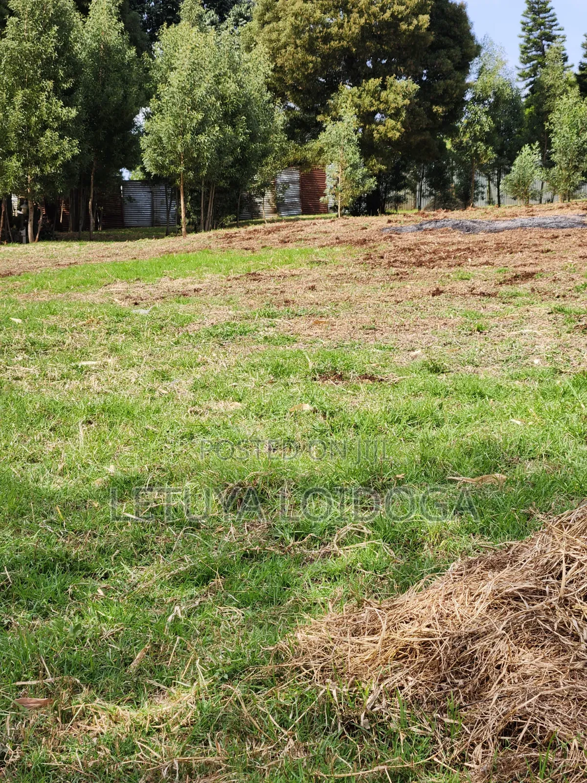 Prime Residential 1⁄4 Acre Ngong-Lemiso