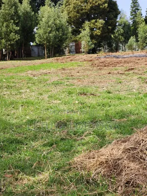 Prime Residential 1⁄4 Acre Ngong-Lemiso