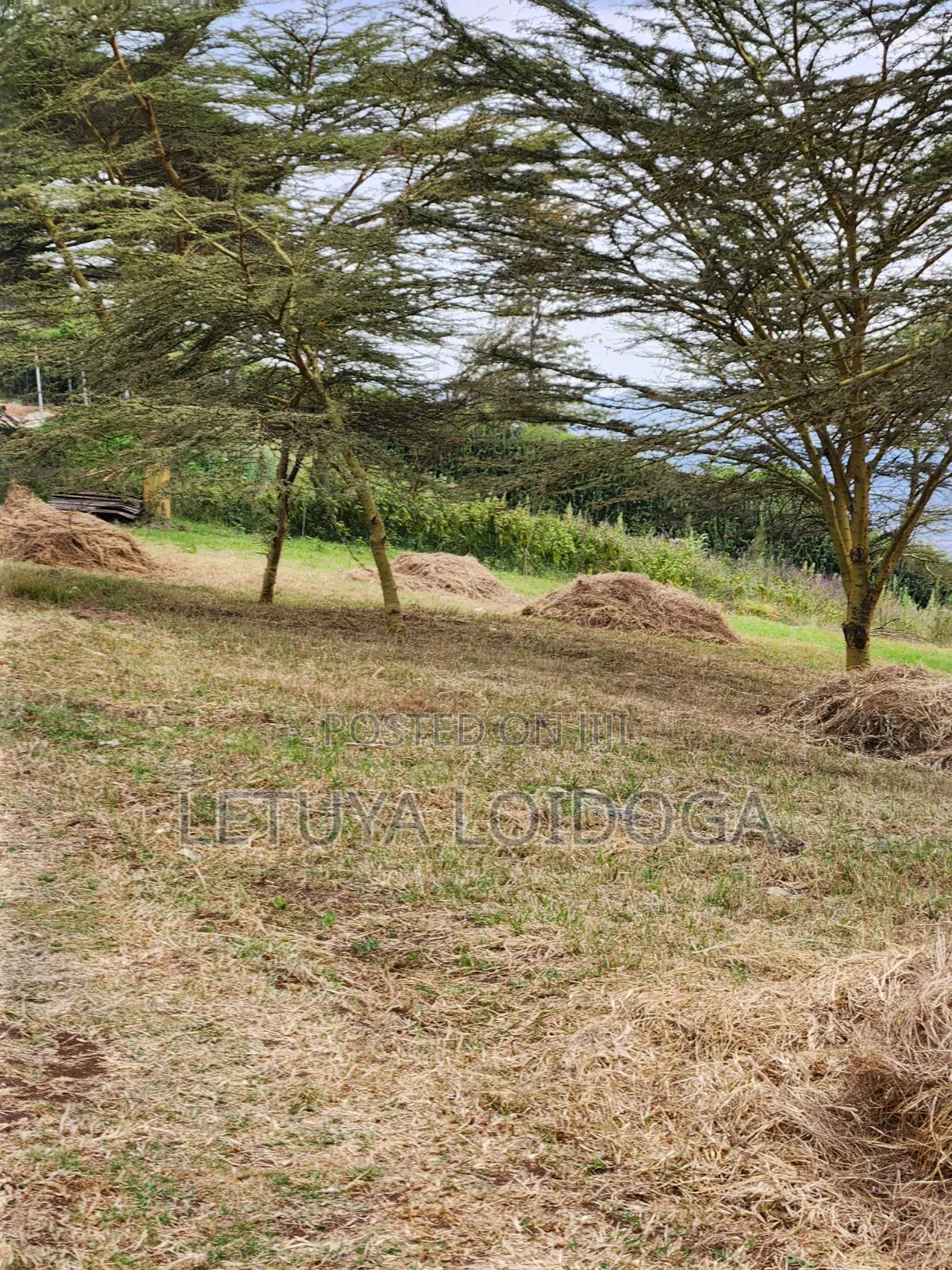 Prime Residential 1⁄4 Acre Ngong-Lemiso