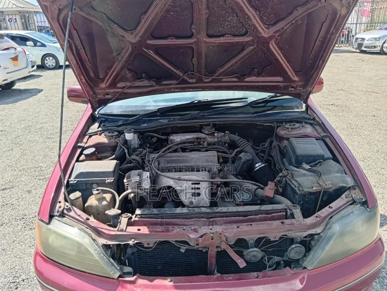 Toyota Vista 2000 Red