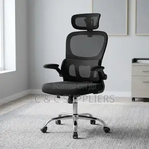 Orthopedic Home Chair With Flip Arm's