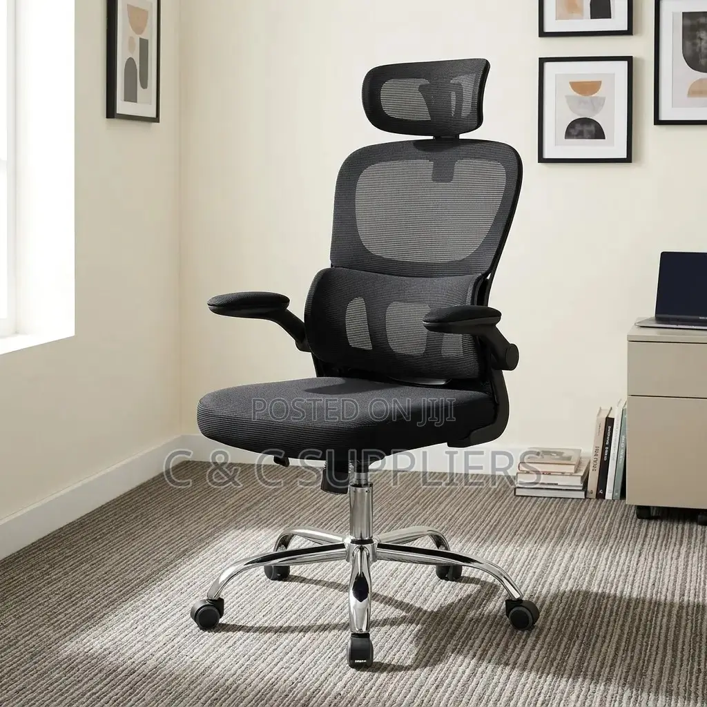 Orthopedic Home Chair With Flip Arm's