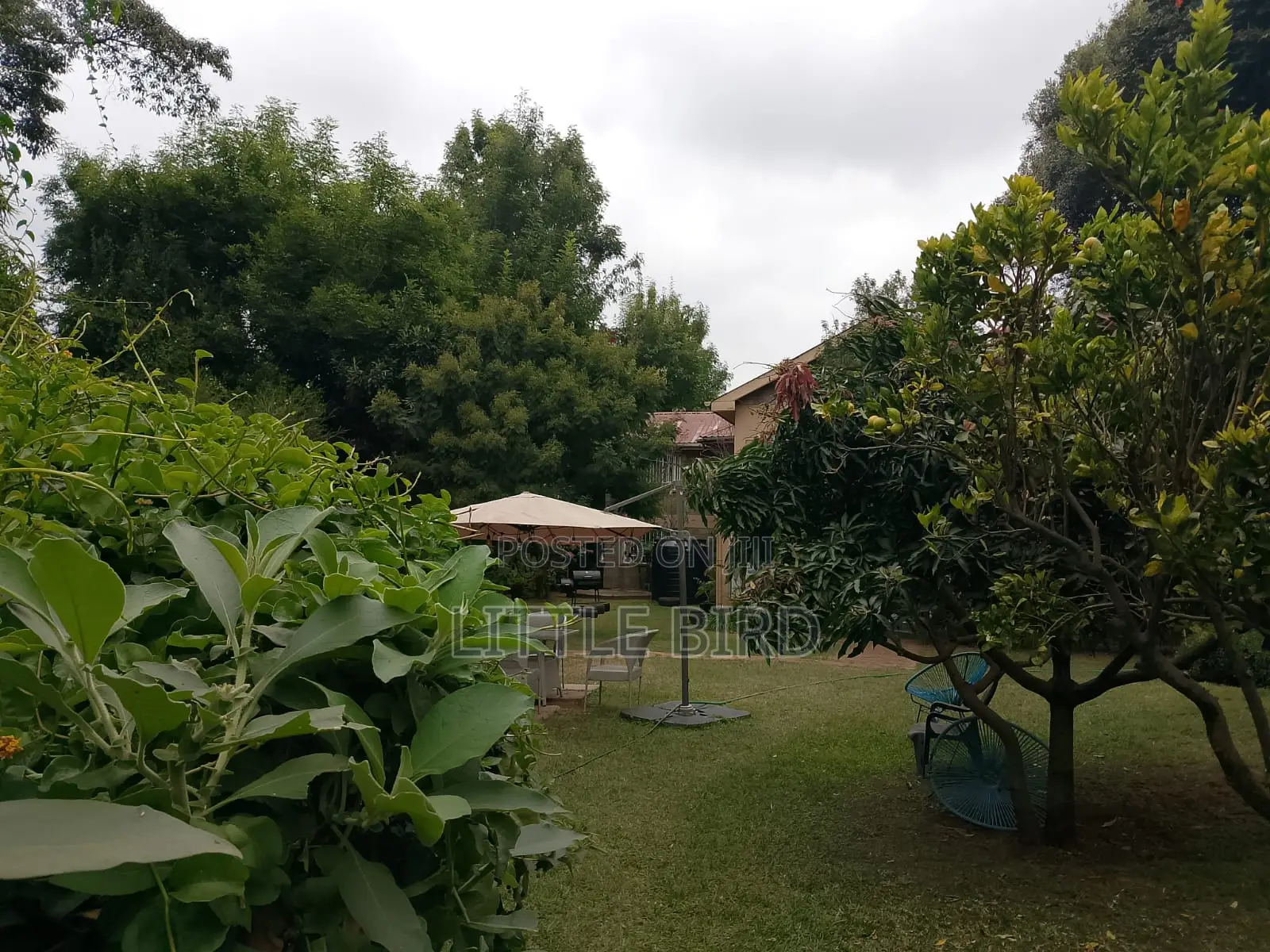 5bdrm House in Hardy for rent
