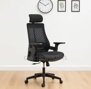 Lama Ergonomic Mesh Chair.