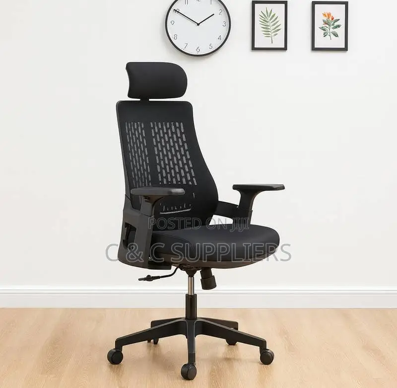 Lama Ergonomic Mesh Chair.