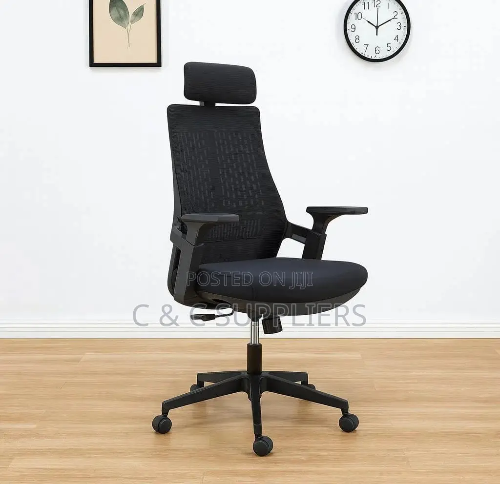 Lama Ergonomic Mesh Chair.