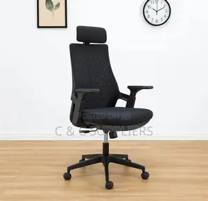 Lama Ergonomic Mesh Chair.