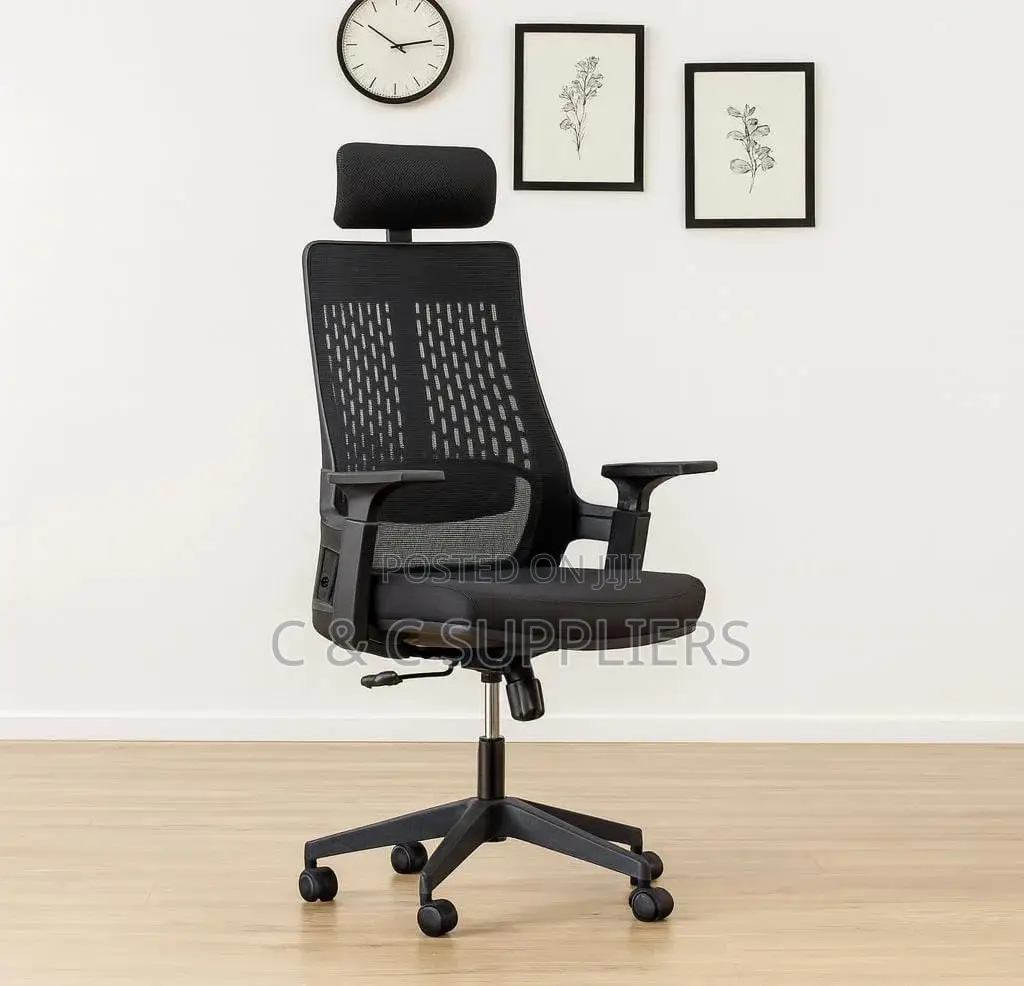 Lama Ergonomic Mesh Chair.