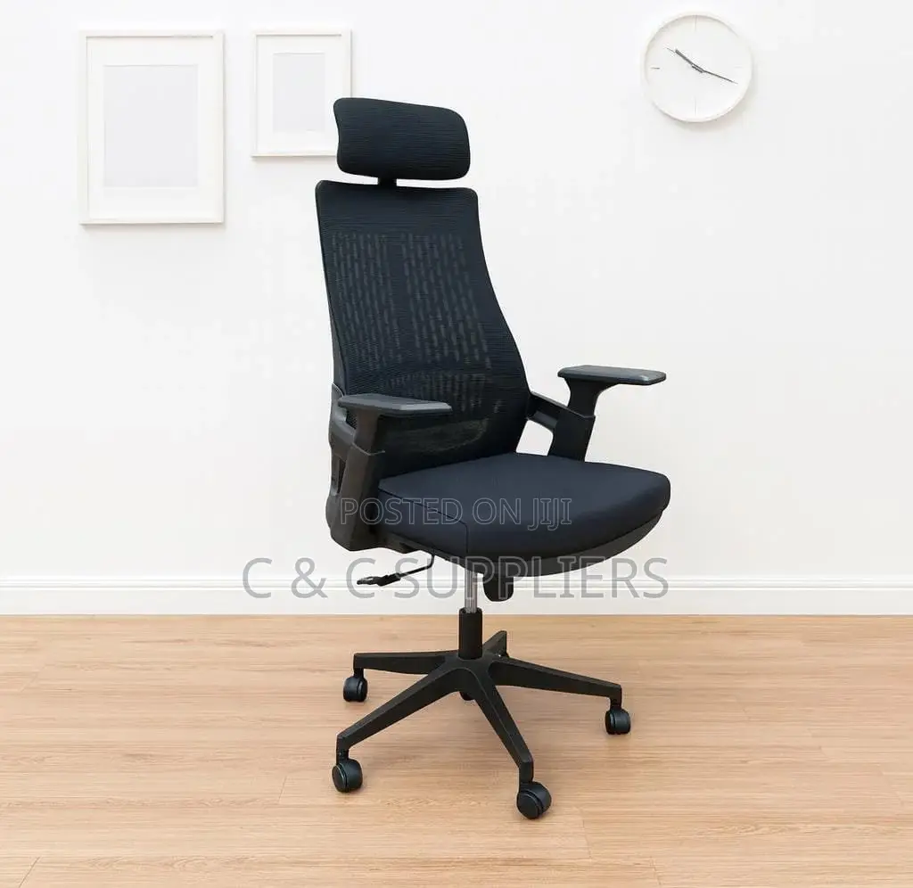 Lama Ergonomic Mesh Chair.