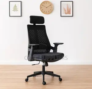 Lama Ergonomic Mesh Chair.