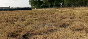 Prime Land for Sale